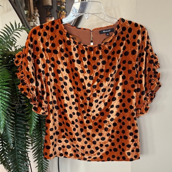 Madewell Velvet Memento Ruffle-Sleeve Top in Leopard Dot Burnt Sienna Animal - Picture 1 of 14
